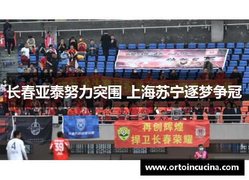 长春亚泰努力突围 上海苏宁逐梦争冠